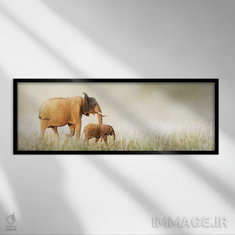 تابلو دکوراتیو فیل مادر و بچه اش در حال قدم زدن در علفزار بلند اثر سوزان ریچی - نمای قابدار مشکی