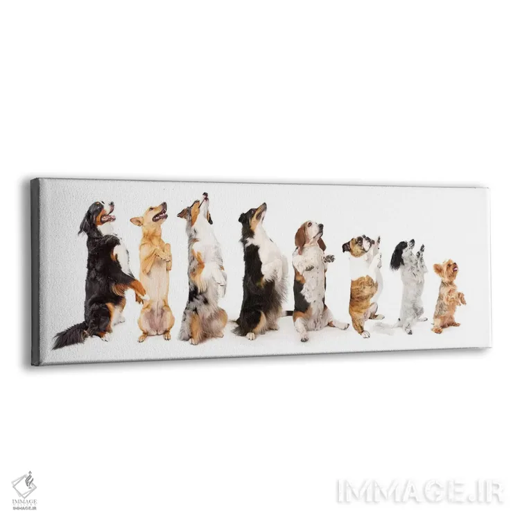 تابلو دکوراتیو ردیفی از سگ ها نشسته و به پهلو گدایی می کنند اثر سوزان ریچی - نمای پرسپکتیو محصول