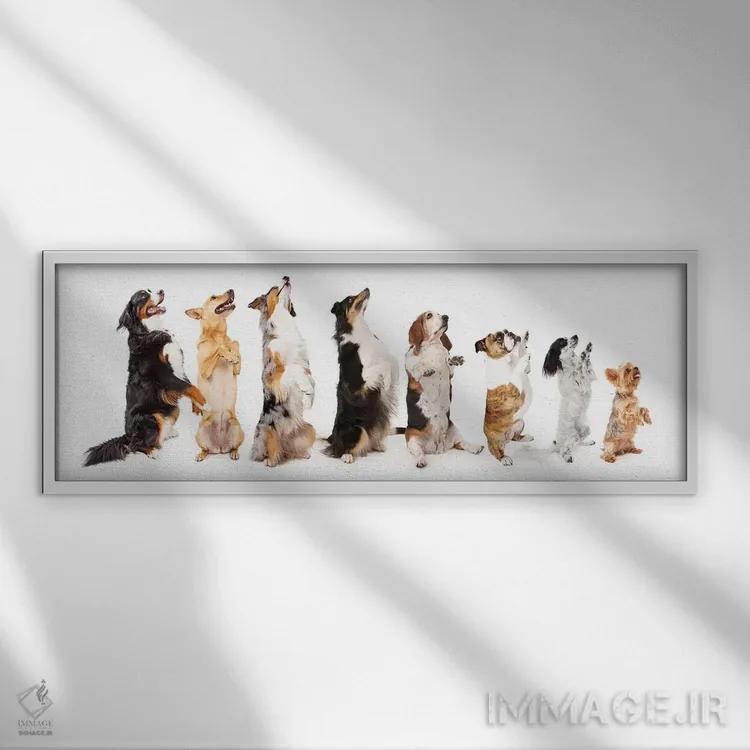 تابلو دکوراتیو ردیفی از سگ ها نشسته و به پهلو گدایی می کنند اثر سوزان ریچی - نمای قابدار سفید