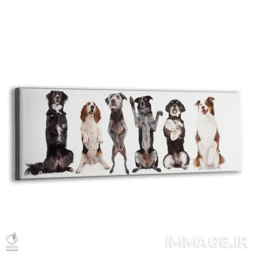 تابلو دکوراتیو شش سگ با هم ایستاده و گدایی می کنند اثر سوزان ریچی - نمای پرسپکتیو محصول