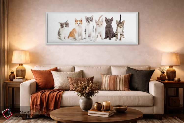 تابلو دکوراتیو ردیفی از بچه گربه های بامزه کنار هم اثر سوزان ریچی - D3W