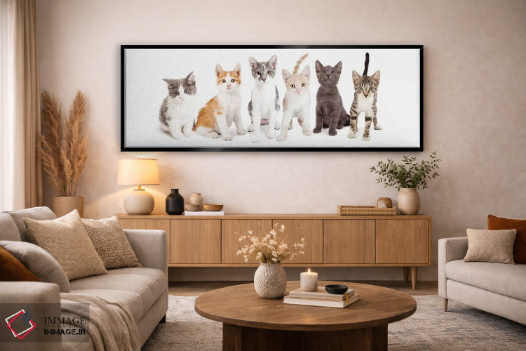 تابلو دکوراتیو ردیفی از بچه گربه های بامزه کنار هم اثر سوزان ریچی - D5B