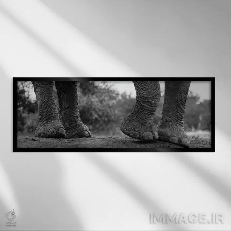 تابلو دکوراتیو Loxodonta Africana. Mashatu Game Reserve, Botswana.,نمای… اثر سرجیو پیتامیتز - نمای قابدار مشکی