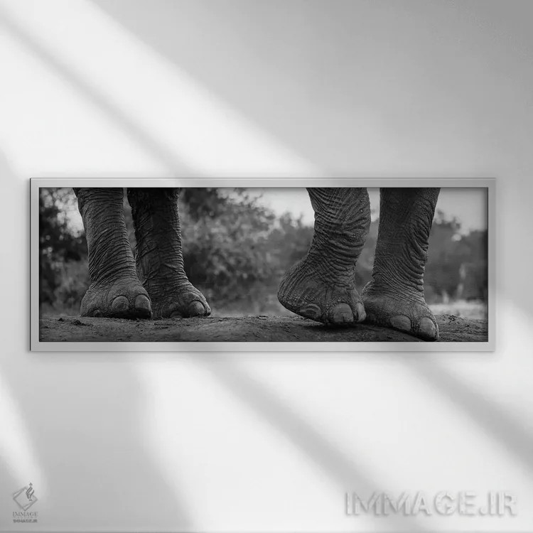 تابلو دکوراتیو Loxodonta Africana. Mashatu Game Reserve, Botswana.,نمای… اثر سرجیو پیتامیتز - نمای قابدار سفید