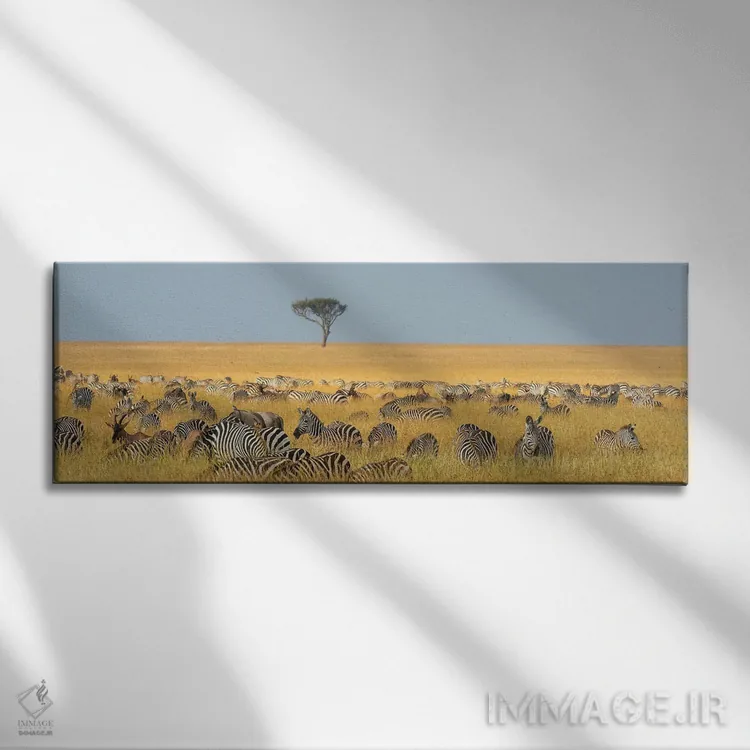 تابلو دکوراتیو Equus Quagga, Grazing In The Grass At Masai Mara Nationa… اثر سرجیو پیتامیتز - نمای روبهرو روی دیوار