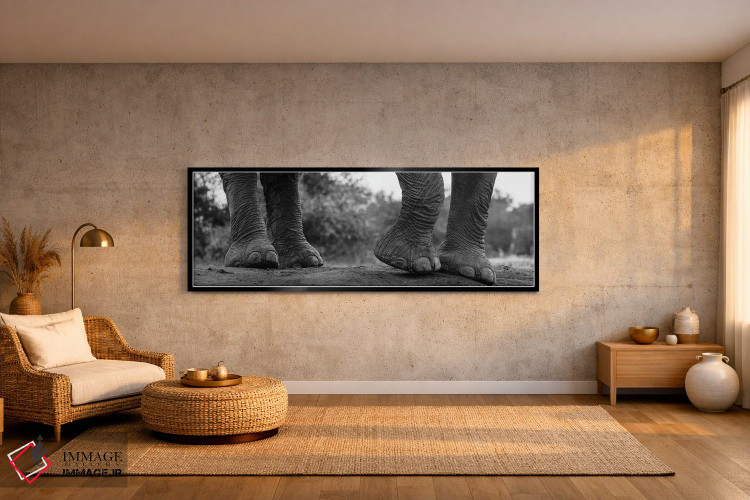 تابلو دکوراتیو Loxodonta Africana. Mashatu Game Reserve, Botswana.,نمای… اثر سرجیو پیتامیتز - D1B