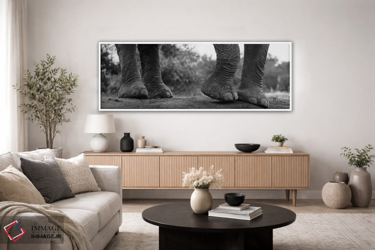 تابلو دکوراتیو Loxodonta Africana. Mashatu Game Reserve, Botswana.,نمای… اثر سرجیو پیتامیتز - D3W