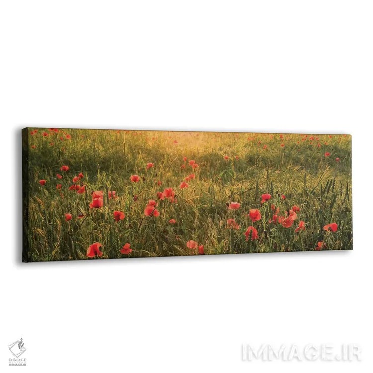 تابلو دکوراتیو دنیای شقایق شماره ۱ اثر استفان هفل - نمای پرسپکتیو محصول