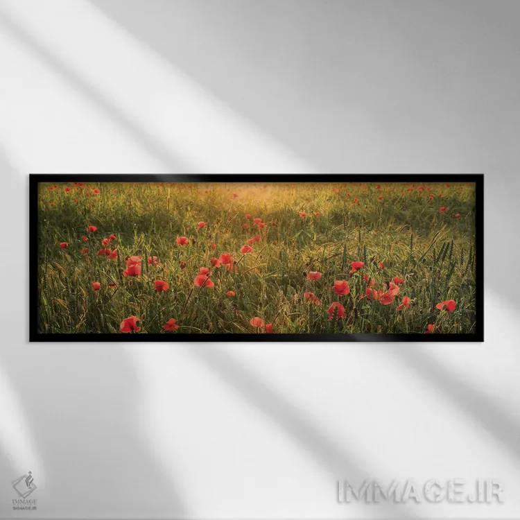 تابلو دکوراتیو دنیای شقایق شماره ۱ اثر استفان هفل - نمای قابدار مشکی