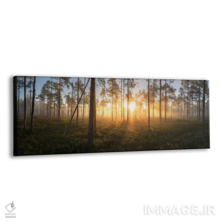 تابلو دکوراتیو پانورامای سکوت اثر آندریاس استریدسبرگ - نمای پرسپکتیو محصول