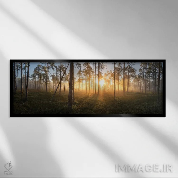 تابلو دکوراتیو پانورامای سکوت اثر آندریاس استریدسبرگ - نمای قابدار مشکی