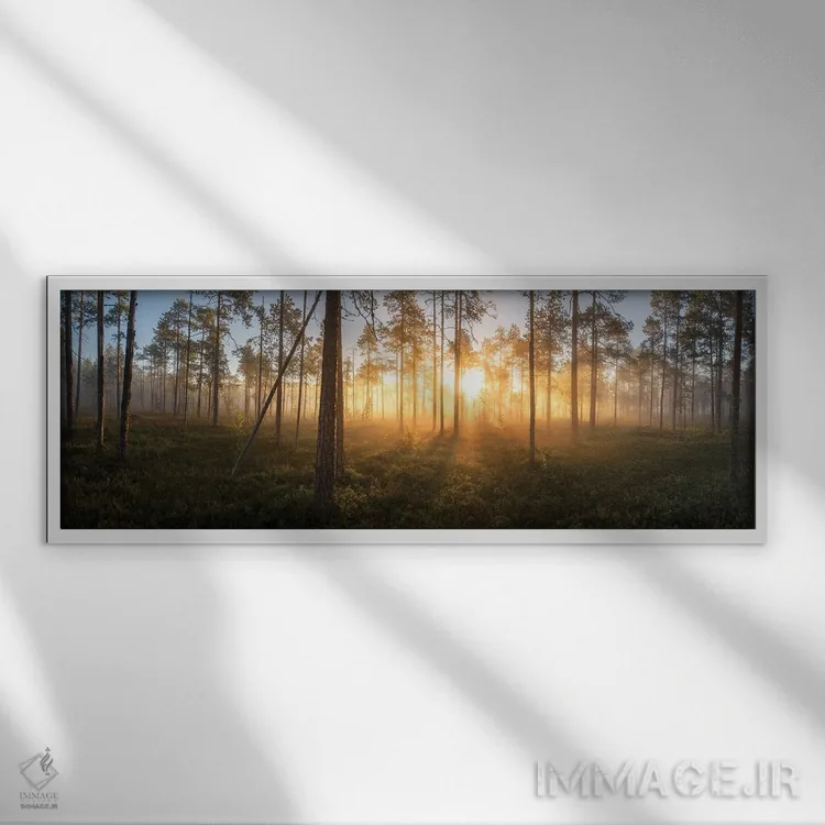 تابلو دکوراتیو پانورامای سکوت اثر آندریاس استریدسبرگ - نمای قابدار سفید