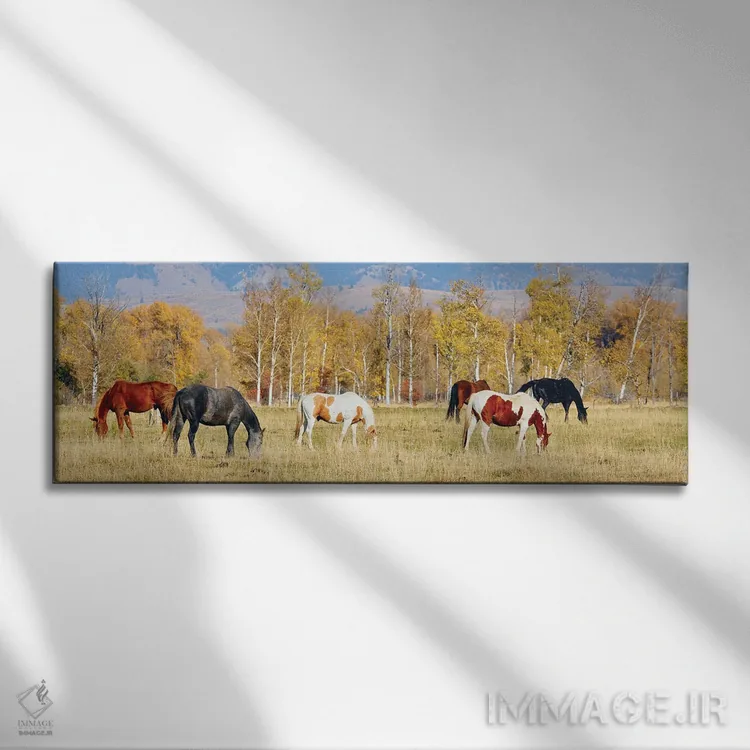 تابلو دکوراتیو گروه اسب ها II اثر سوزان ویزواری - نمای روبهرو روی دیوار