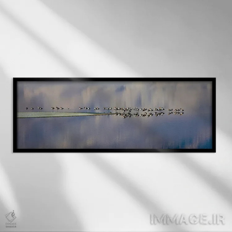 تابلو دکوراتیو پرندگان بر دریاچه اوئنز اثر سوزان ویزواری - نمای قابدار مشکی