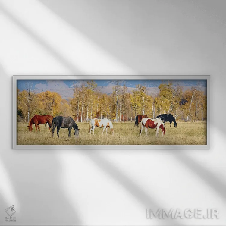 تابلو دکوراتیو گروه اسب ها II اثر سوزان ویزواری - نمای قابدار سفید