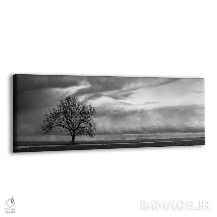 تابلو دکوراتیو ورود جبهه هواشناسی اثر استیو تول - نمای پرسپکتیو محصول