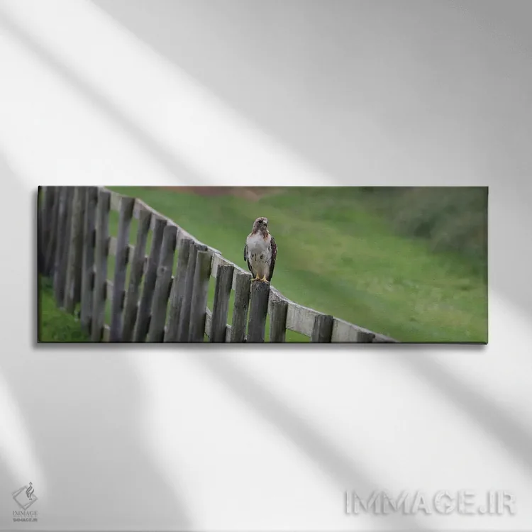 تابلو دکوراتیو نشستن روی نرده اثر استیو تول - نمای روبهرو روی دیوار