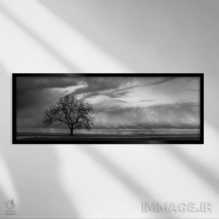 تابلو دکوراتیو ورود جبهه هواشناسی اثر استیو تول - نمای قابدار مشکی