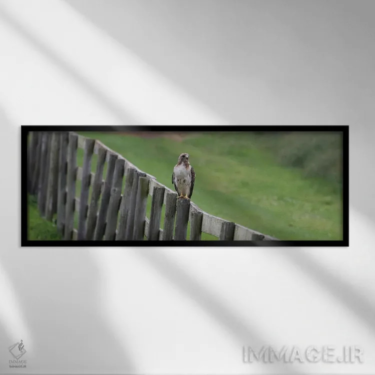 تابلو دکوراتیو نشستن روی نرده اثر استیو تول - نمای قابدار مشکی