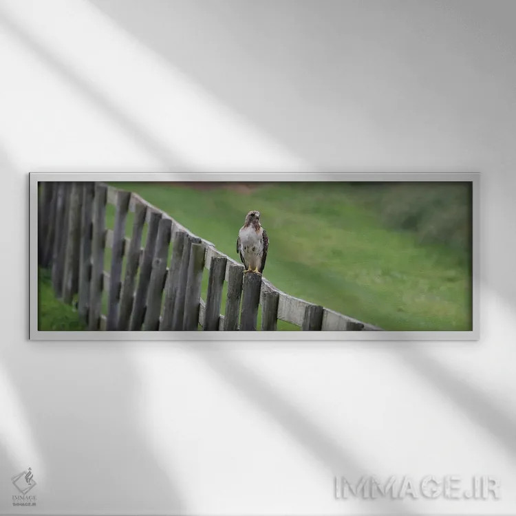 تابلو دکوراتیو نشستن روی نرده اثر استیو تول - نمای قابدار سفید