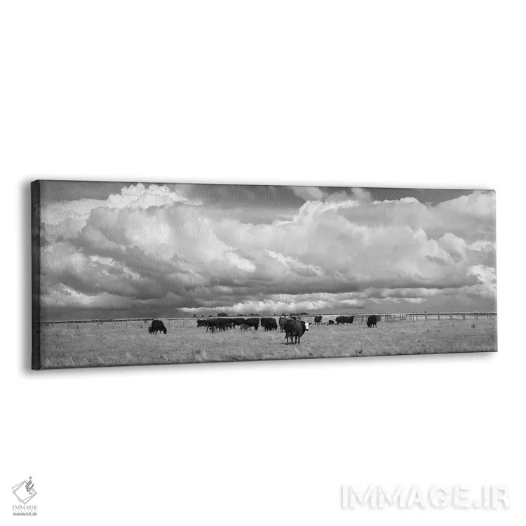 تابلو دکوراتیو صورت سفید اثر استیو تول - نمای پرسپکتیو محصول