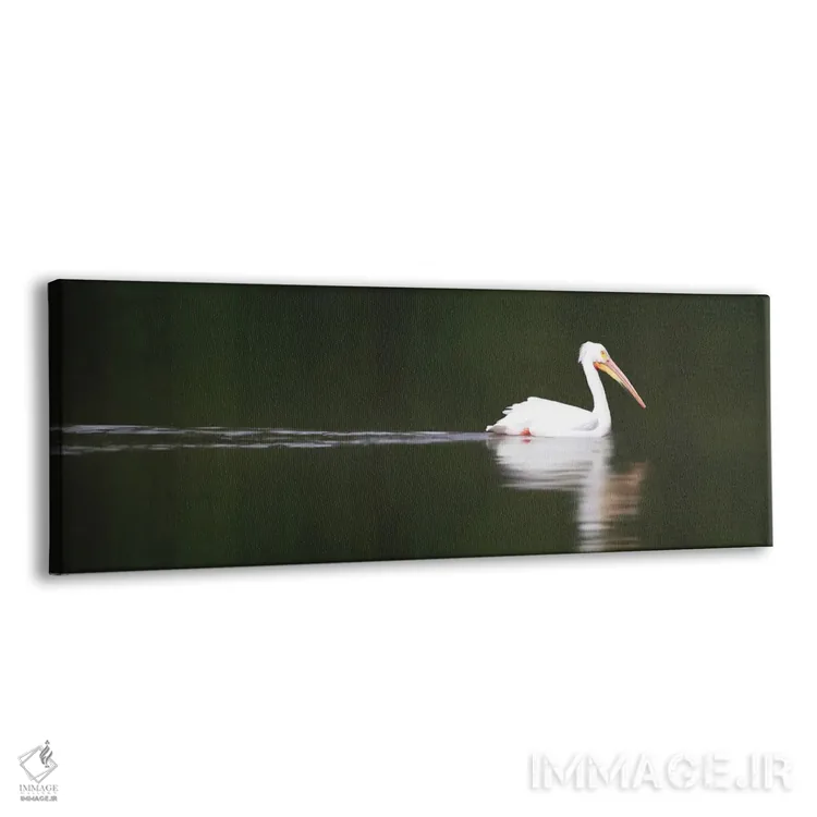 تابلو دکوراتیو پلیکان سفید اثر استیو تول - نمای پرسپکتیو محصول