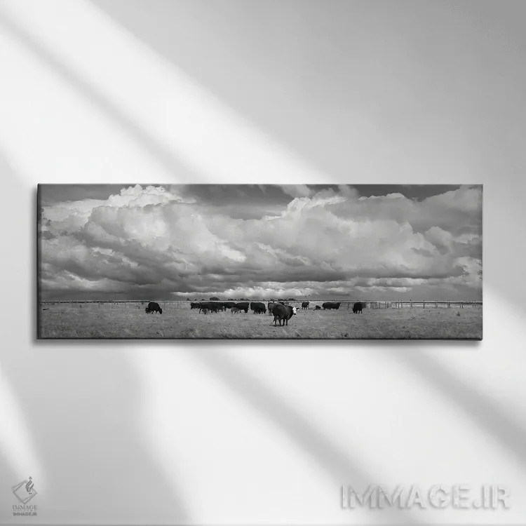 تابلو دکوراتیو صورت سفید اثر استیو تول - نمای روبهرو روی دیوار