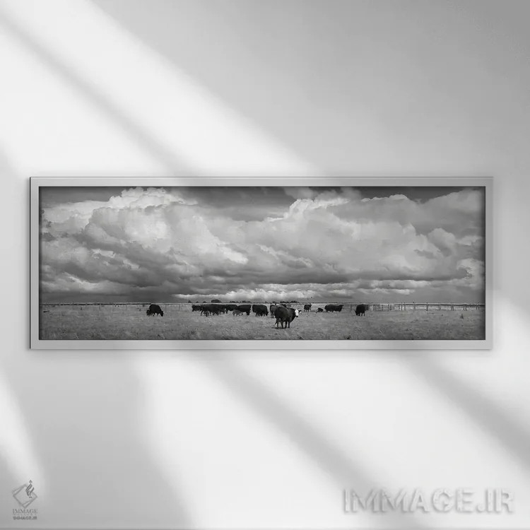 تابلو دکوراتیو صورت سفید اثر استیو تول - نمای قابدار سفید