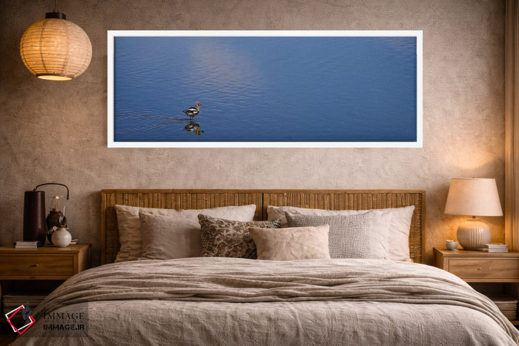 تابلو دکوراتیو Owens Lake,پرنده تنها، دریاچه اوونز اثر سوزان ویزواری - D4W