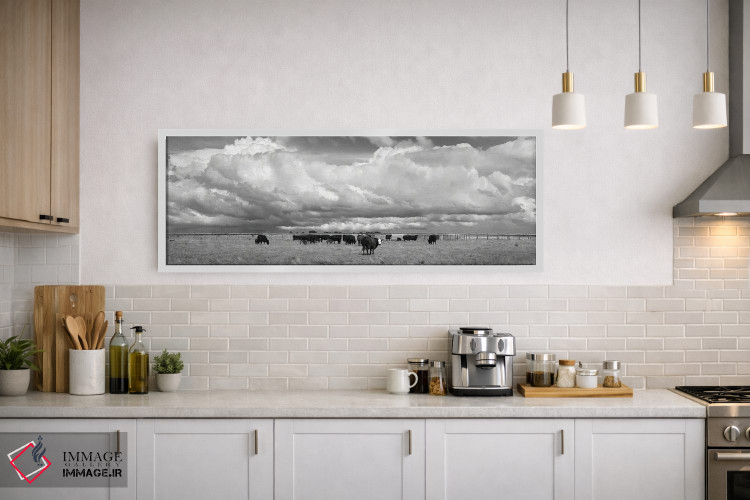 تابلو دکوراتیو صورت سفید اثر استیو تول - D1W