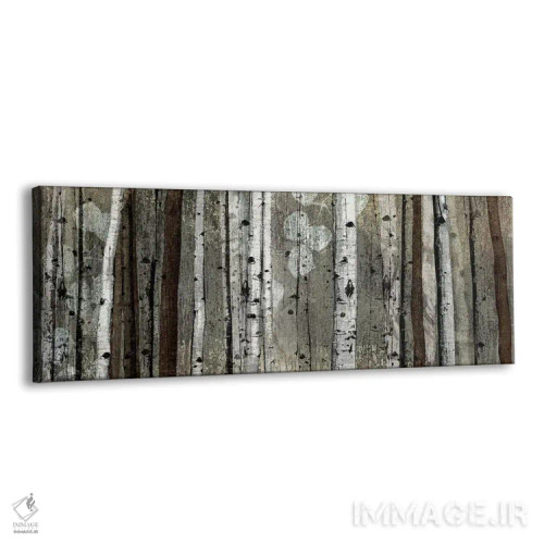 تابلو دکوراتیو لبه نقره ای اثر تاندی ونتر - نمای پرسپکتیو محصول