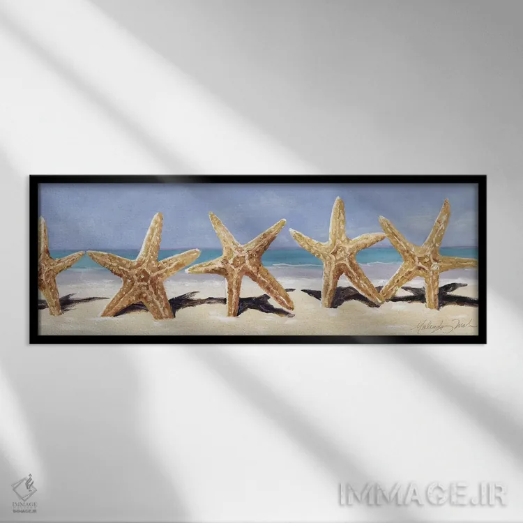 تابلو دکوراتیو ستاره دریایی II اثر مالندا تریک - نمای قابدار مشکی