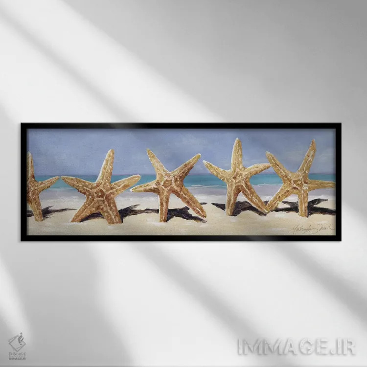 تابلو دکوراتیو ستاره دریایی II اثر مالندا تریک - نمای قابدار مشکی