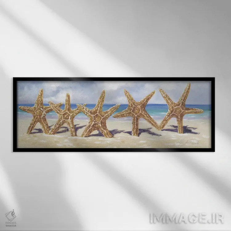 تابلو دکوراتیو ستاره دریایی I اثر مالندا تریک - نمای قابدار مشکی