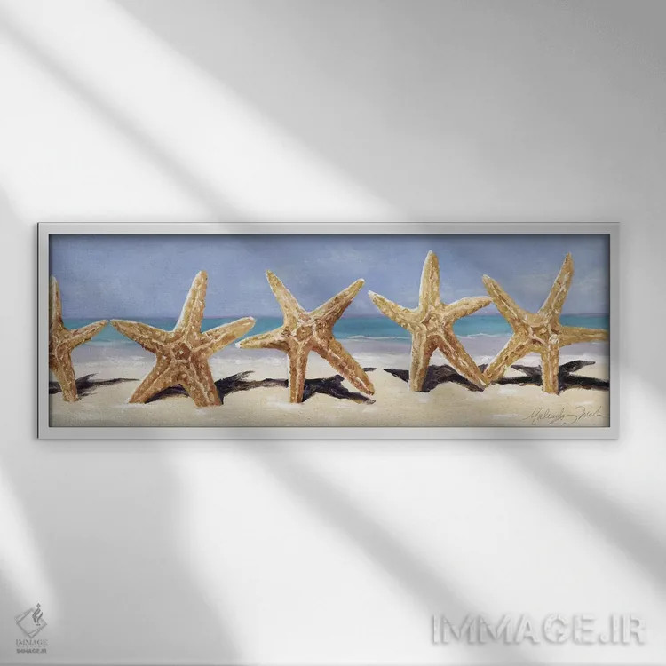تابلو دکوراتیو ستاره دریایی II اثر مالندا تریک - نمای قابدار سفید