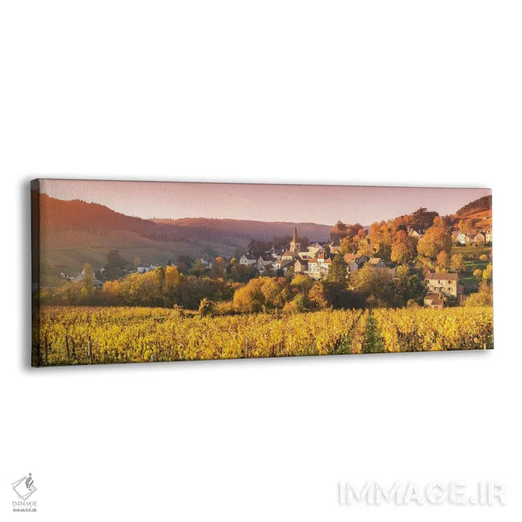 تابلو دکوراتیو France,باغ های انگور در بورگوین، فرانسه اثر ماتئو کولومبو - نمای پرسپکتیو محصول