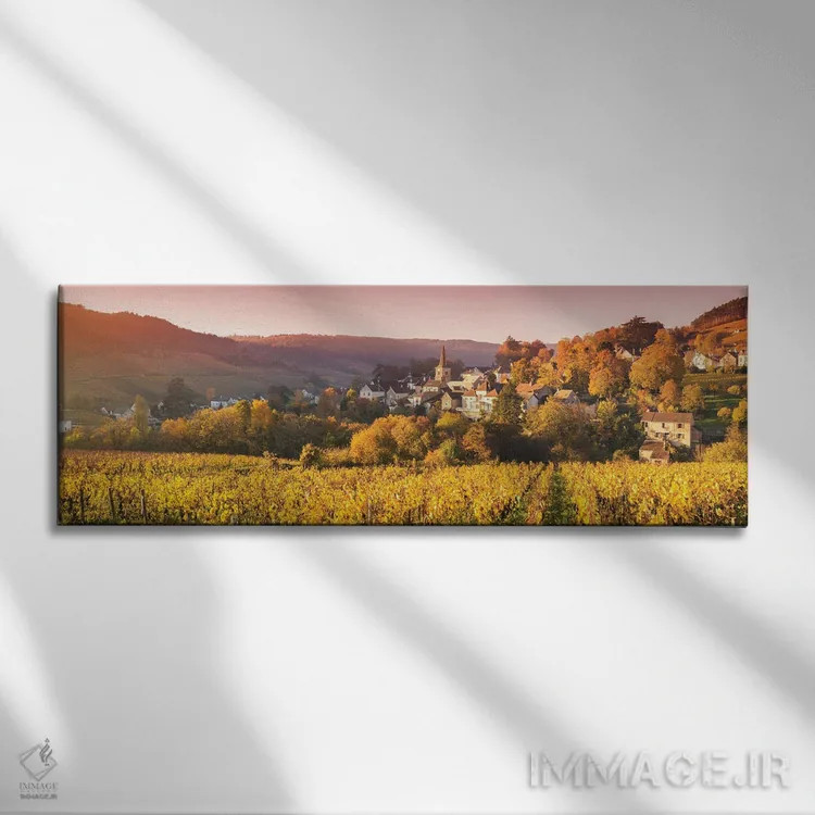 تابلو دکوراتیو France,باغ های انگور در بورگوین، فرانسه اثر ماتئو کولومبو - نمای روبهرو روی دیوار