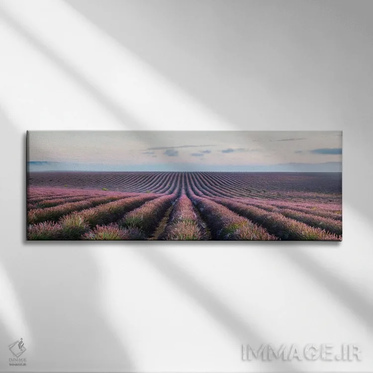 تابلو دکوراتیو Provence, France,مزرعه اسطوخودوس، پروانس، فرانسه اثر ماتئو کولومبو - نمای روبهرو روی دیوار