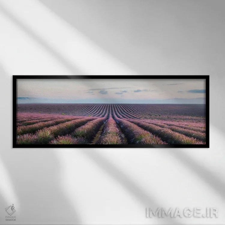 تابلو دکوراتیو Provence, France,مزرعه اسطوخودوس، پروانس، فرانسه اثر ماتئو کولومبو - نمای قابدار مشکی