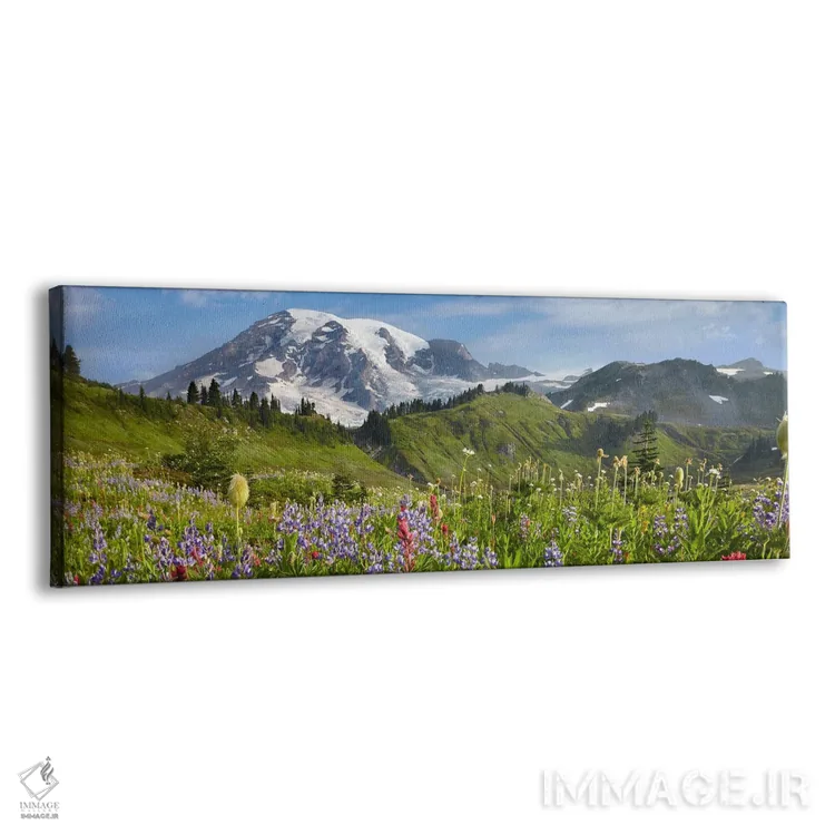تابلو دکوراتیو Mount Rainier National Park, Washington,گل های وحشی در چمن… اثر تیم فیتزهریس - نمای پرسپکتیو محصول