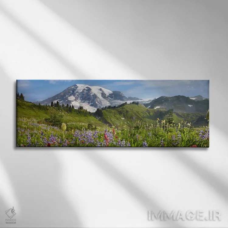 تابلو دکوراتیو Mount Rainier National Park, Washington,گل های وحشی در چمن… اثر تیم فیتزهریس - نمای روبهرو روی دیوار