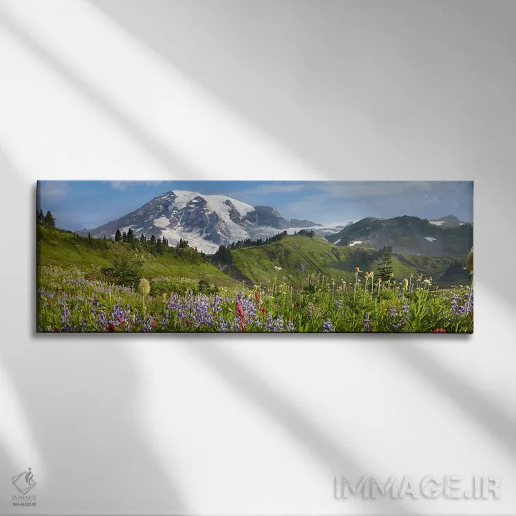 تابلو دکوراتیو Mount Rainier National Park, Washington,گل های وحشی در چمن… اثر تیم فیتزهریس - نمای روبهرو روی دیوار