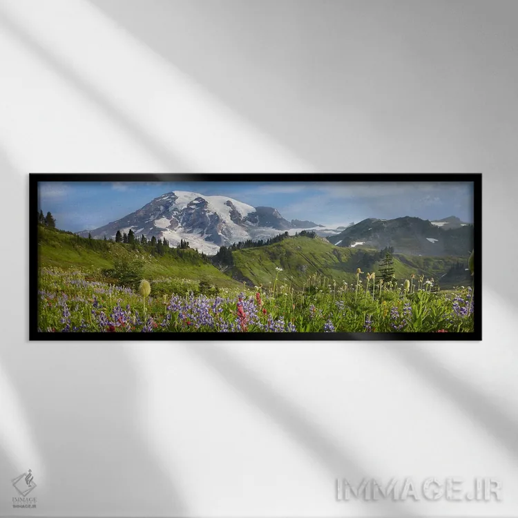تابلو دکوراتیو Mount Rainier National Park, Washington,گل های وحشی در چمن… اثر تیم فیتزهریس - نمای قابدار مشکی