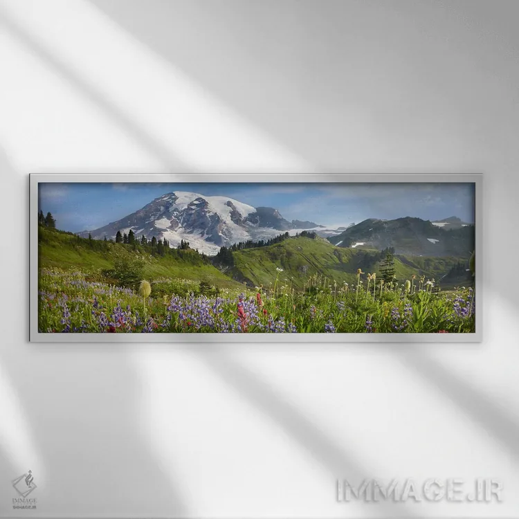 تابلو دکوراتیو Mount Rainier National Park, Washington,گل های وحشی در چمن… اثر تیم فیتزهریس - نمای قابدار سفید