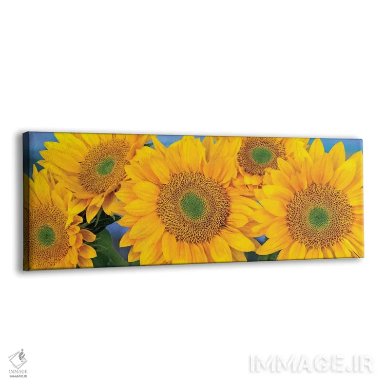 تابلو دکوراتیو North America I,دسته گل آفتابگردان معمولی با سر بذرهای متق… اثر تیم فیتزهریس - نمای پرسپکتیو محصول