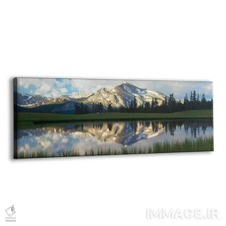 تابلو دکوراتیو Upper Dana Meadow, Yosemite National Park, California,پانو… اثر تیم فیتزهریس - نمای پرسپکتیو محصول