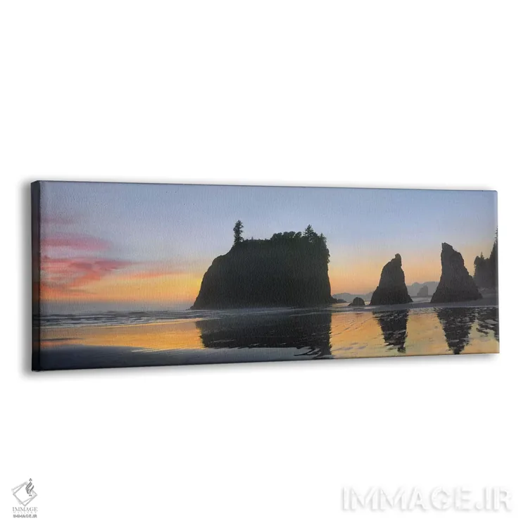 تابلو دکوراتیو Ruby Beach, Olympic National Park, Washington,نمای پانورام… اثر تیم فیتزهریس - نمای پرسپکتیو محصول