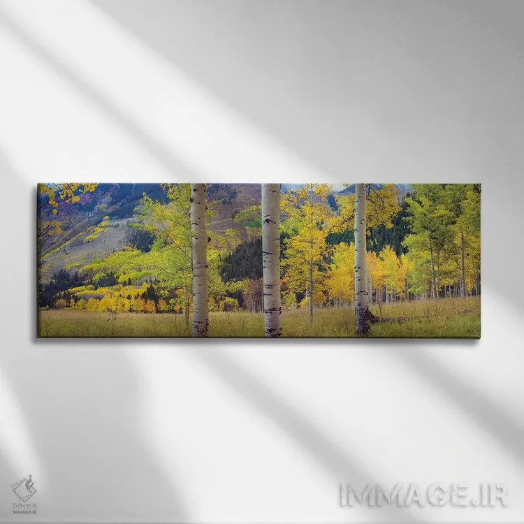 تابلو دکوراتیو Colorado,باغ صفاف لرزان در پاییز، کلرادو اثر تیم فیتزهریس - نمای روبهرو روی دیوار