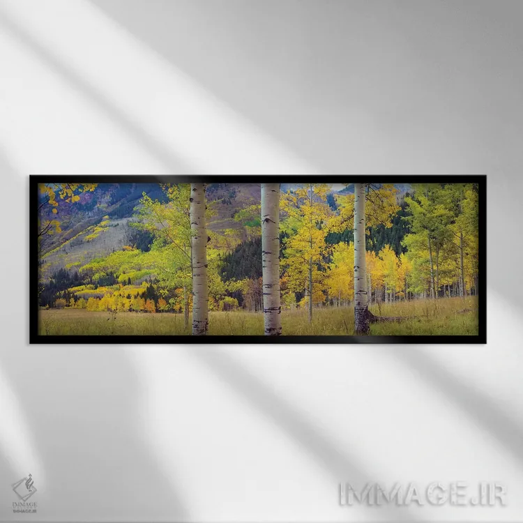 تابلو دکوراتیو Colorado,باغ صفاف لرزان در پاییز، کلرادو اثر تیم فیتزهریس - نمای قابدار مشکی