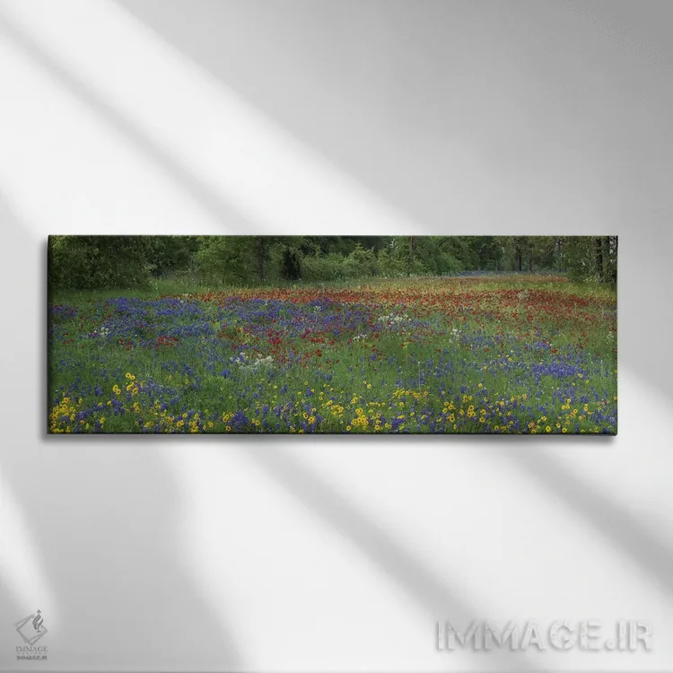 تابلو دکوراتیو Drummond's Phlox And Tickseed, Fort Parker State Park, Tex… اثر تیم فیتزهریس - نمای روبهرو روی دیوار